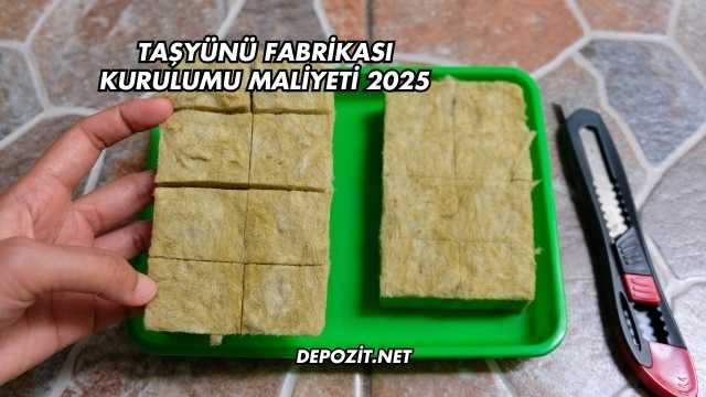 Taşyünü Fabrikası Kurulumu Maliyeti 2025