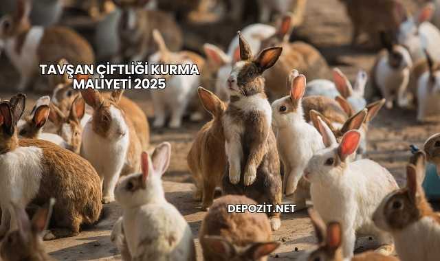 Tavşan Çiftliği Kurma Maliyeti 2025