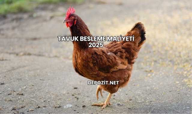Tavuk Yetiştiriciliği Maliyeti 2025
