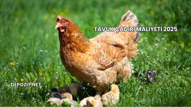 Tavuk Çadırı Maliyeti 2025