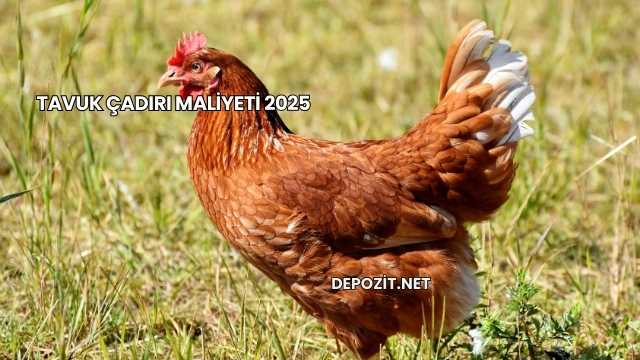 Tavuk Çadırı Maliyeti 2025