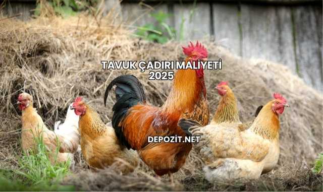Tavuk Çadırı Maliyeti 2025