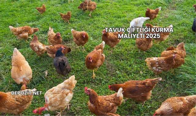 Tavuk Çiftliği Kurma Maliyeti 2025