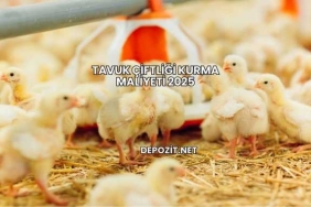 Tavuk Çiftliği Kurma Maliyeti 2025