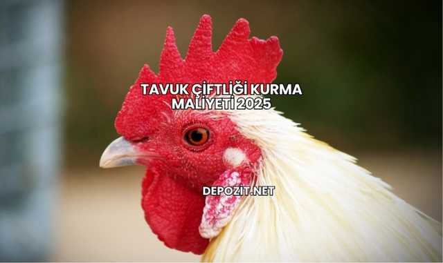 Tavuk Çiftliği Kurma Maliyeti 2025