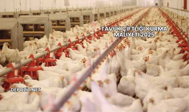 Tavuk Çiftliği Kurma Maliyeti 2025