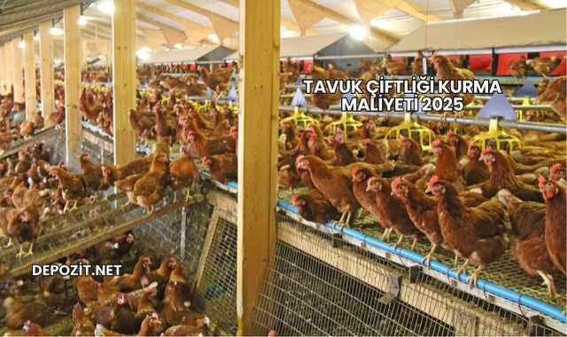 Tavuk Çiftliği Kurma Maliyeti 2025