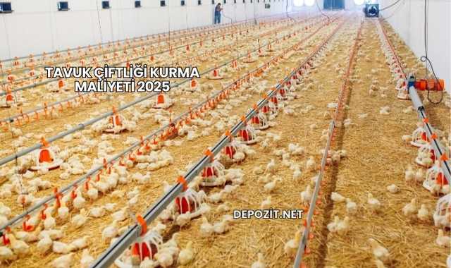 Tavuk Çiftliği Kurma Maliyeti 2025
