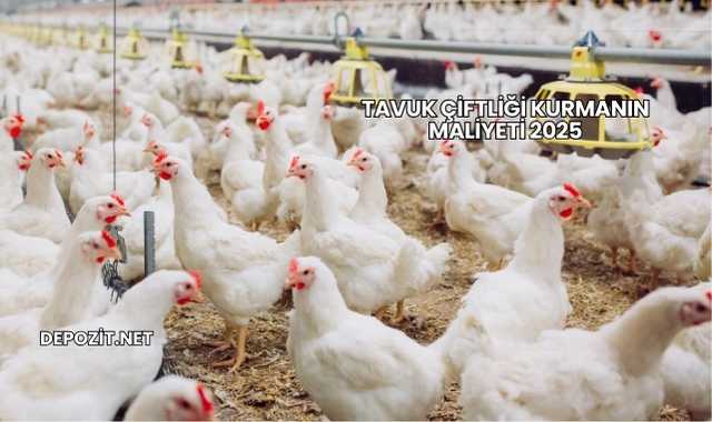 Tavuk Çiftliği Kurmanın Maliyeti 2025
