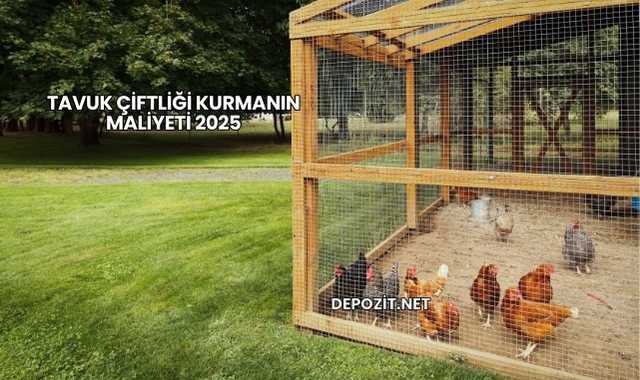 Tavuk Çiftliği Kurmanın Maliyeti 2025