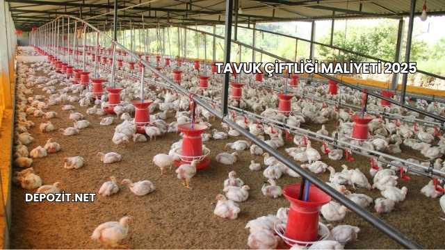 Tavuk Çiftliği Maliyeti 2025