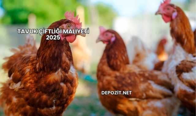 Tavuk Çiftliği Maliyeti 2025