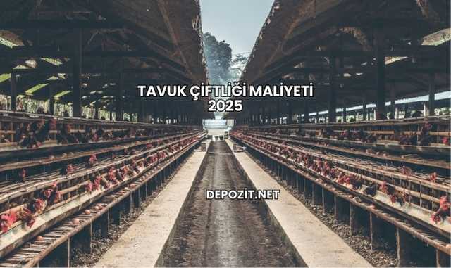 Tavuk Çiftliği Maliyeti 2025