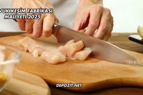 Tavuk Kesim Fabrikası Maliyeti 2025