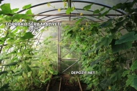 Topraklı Sera Maliyeti 2025