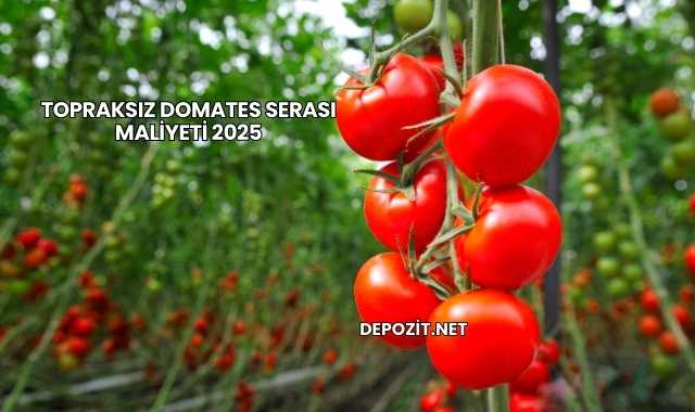 Topraksız Domates Serası Maliyeti 2025