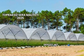 Topraksız Sera Maliyeti 2025