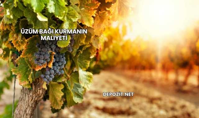 Üzüm Bağı Kurmanın Maliyeti