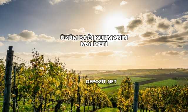 Üzüm Bağı Kurmanın Maliyeti