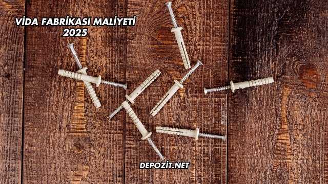 Vida Fabrikası Maliyeti 2025