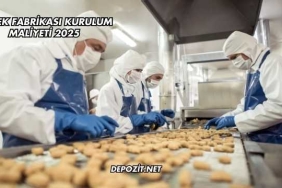 Yemek Fabrikası Kurulum Maliyeti 2025