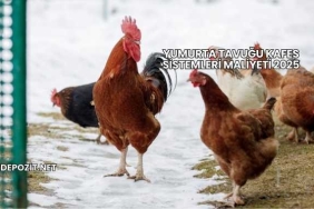 Yumurta Tavuğu Kafes Sistemleri Maliyeti 2025