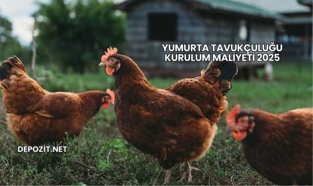 Yumurta Tavukçuluğu Kurulum Maliyeti 2025