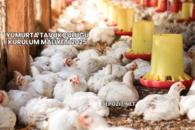 Yumurta Tavukçuluğu Kurulum Maliyeti 2025