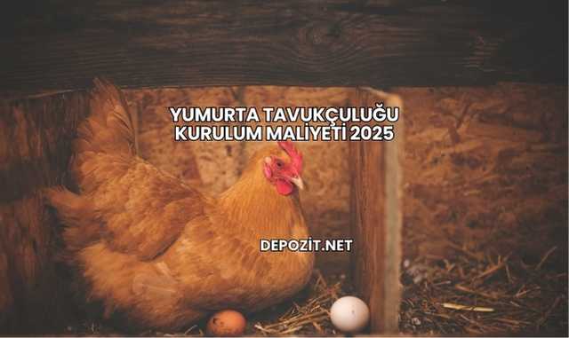 Yumurta Tavukçuluğu Kurulum Maliyeti 2025