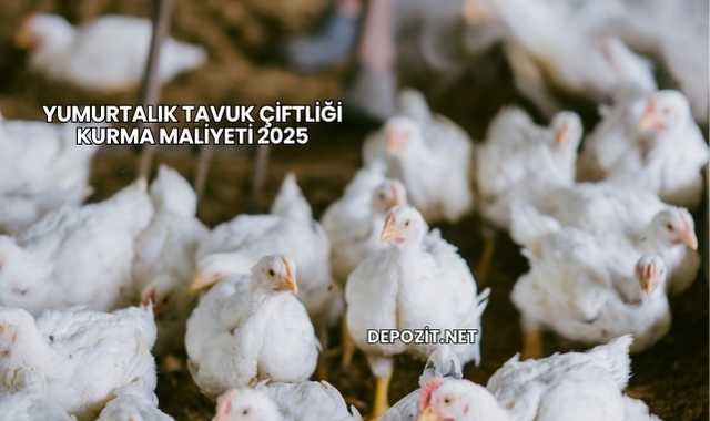 Yumurtalık Tavuk Çiftliği Kurma Maliyeti 2025