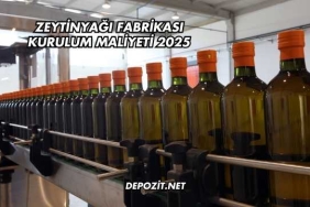 Zeytinyağı Fabrikası Kurulum Maliyeti 2025