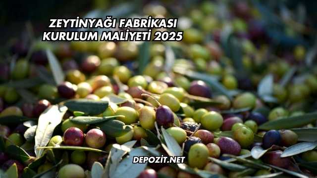 Zeytinyağı Fabrikası Kurulum Maliyeti 2025