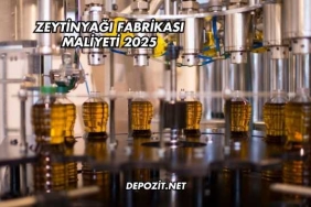 Zeytinyağı Fabrikası Maliyeti 2025