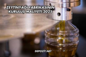 Zeytinyağı Fabrikasının Kuruluş Maliyeti 2025