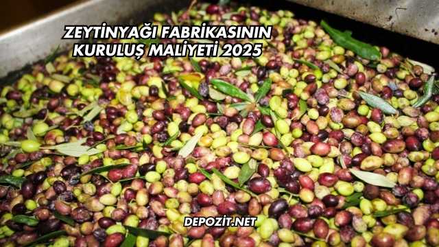 Zeytinyağı Fabrikasının Kuruluş Maliyeti 2025