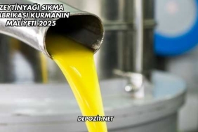 Zeytinyağı Sıkma Fabrikası Kurmanın Maliyeti 2025