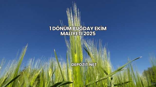 1 Dönüm Buğday Ekim Maliyeti 2025