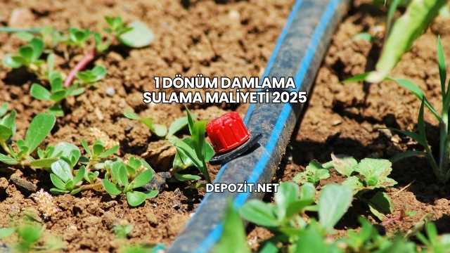 1 Dönüm Damlama Sulama Maliyeti 2025