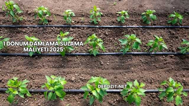 1 Dönüm Damlama Sulama Maliyeti 2025