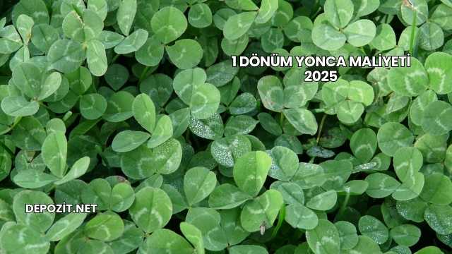 1 Dönüm Yonca Maliyeti 2025