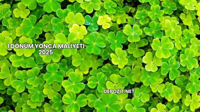 1 Dönüm Yonca Maliyeti 2025