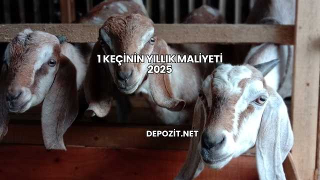 1 Keçinin Yıllık Maliyeti 2025