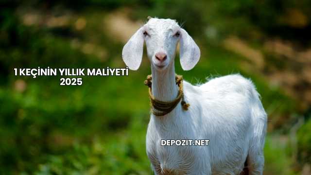 1 Keçinin Yıllık Maliyeti 2025