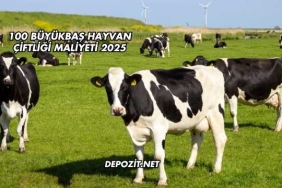100 Büyükbaş Hayvan Çiftliği Maliyeti 2025