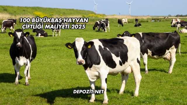 100 Büyükbaş Hayvan Çiftliği Maliyeti 2025