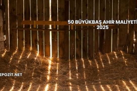 50 Büyükbaş Ahır Maliyeti 2025
