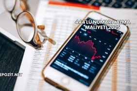 444'lü Numara Alma Maliyeti 2025