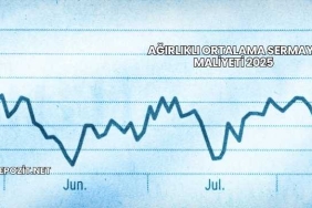 Ağırlıklı Ortalama Sermaye Maliyeti 2025
