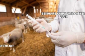 Besihane Kurulum Maliyeti 2025