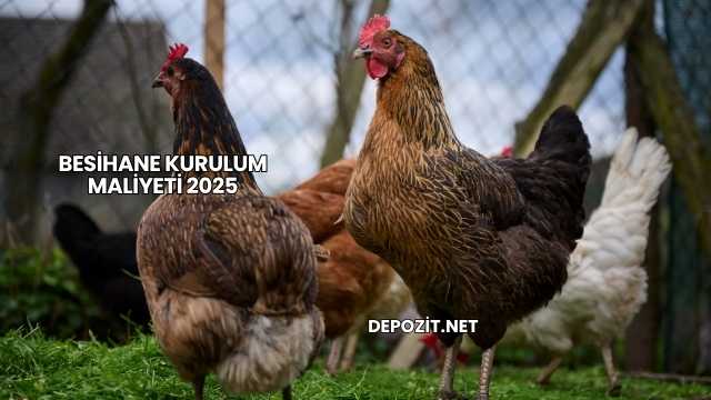 Besihane Kurulum Maliyeti 2025